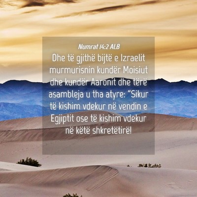 Picture 04 - Numrat 14:2 ALB - Dhe të gjithë bijtë e Izraelit murmurisnin - Bible Verse Picture