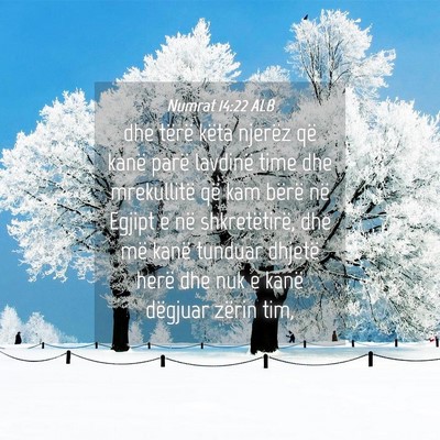 Picture 04 - Numrat 14:22 ALB - dhe tërë këta njerëz që kanë parë lavdinë - Bible Verse Picture