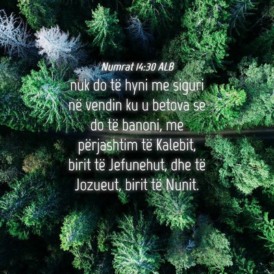 Picture 04 - Numrat 14:30 ALB - nuk do të hyni me siguri në vendin ku u betova - Bible Verse Picture