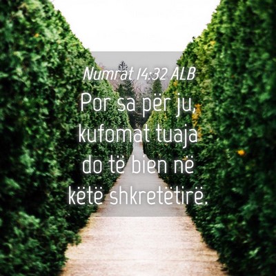Picture 04 - Numrat 14:32 ALB - Por sa për ju, kufomat tuaja do të bien në - Bible Verse Picture