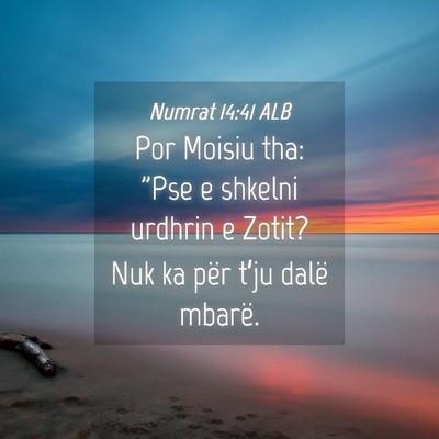 Picture 04 - Numrat 14:41 ALB - Por Moisiu tha: 