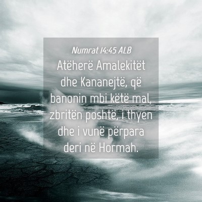 Picture 04 - Numrat 14:45 ALB - Atëherë Amalekitët dhe Kananejtë, që banonin - Bible Verse Picture