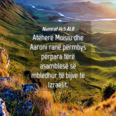 Picture 04 - Numrat 14:5 ALB - Atëherë Moisiu dhe Aaroni ranë përmbys - Bible Verse Picture