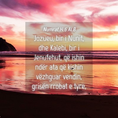 Picture 04 - Numrat 14:6 ALB - Jozueu, bir i Nunit, dhe Kalebi, bir i Jenufehut, - Bible Verse Picture