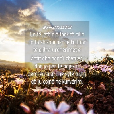 Picture 04 - Numrat 15:39 ALB - Do të jetë një thek të cilin do ta shikoni - Bible Verse Picture