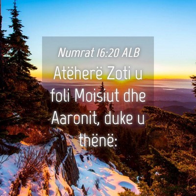 Picture 04 - Numrat 16:20 ALB - Atëherë Zoti u foli Moisiut dhe Aaronit, duke u - Bible Verse Picture