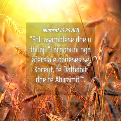 Picture 04 - Numrat 16:24 ALB - 