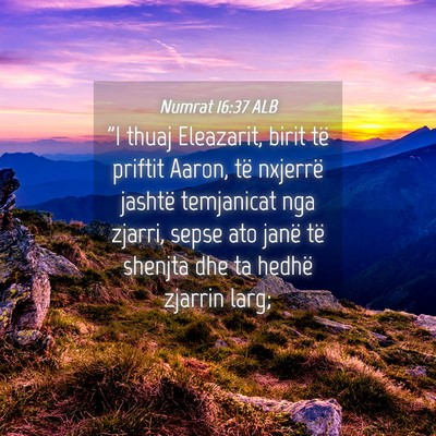 Picture 04 - Numrat 16:37 ALB - 