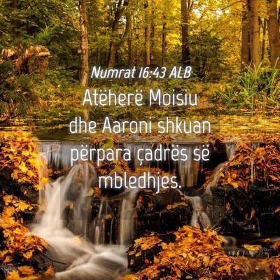 Picture 04 - Numrat 16:43 ALB - Atëherë Moisiu dhe Aaroni shkuan përpara - Bible Verse Picture