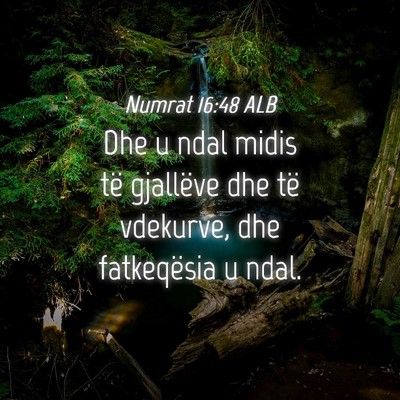 Picture 04 - Numrat 16:48 ALB - Dhe u ndal midis të gjallëve dhe të vdekurve, - Bible Verse Picture