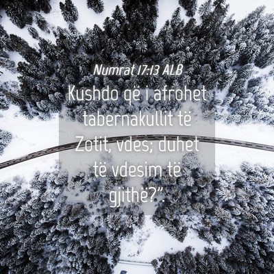 Picture 04 - Numrat 17:13 ALB - Kushdo që i afrohet tabernakullit të Zotit, - Bible Verse Picture