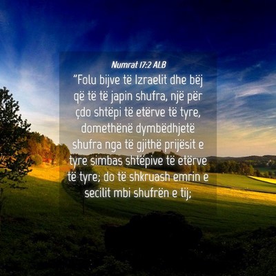 Picture 04 - Numrat 17:2 ALB - 