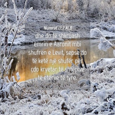 Picture 04 - Numrat 17:3 ALB - dhe do të shkruash emrin e Aaronit mbi shufrën - Bible Verse Picture