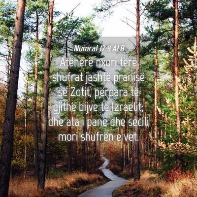 Picture 04 - Numrat 17:9 ALB - Atëherë nxori tërë shufrat jashtë pranisë - Bible Verse Picture