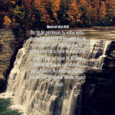 Picture 04 - Numrat 18:11 ALB - Do të të përkasin ty edhe këto: dhuratat që - Bible Verse Picture