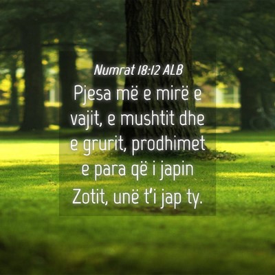 Picture 04 - Numrat 18:12 ALB - Pjesa më e mirë e vajit, e mushtit dhe e - Bible Verse Picture