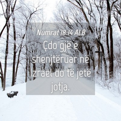 Picture 04 - Numrat 18:14 ALB - Çdo gjë e shenjtëruar në Izrael do të jetë - Bible Verse Picture