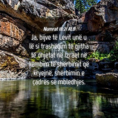 Picture 04 - Numrat 18:21 ALB - Ja, bijve të Levit unë u lë si trashëgim të - Bible Verse Picture
