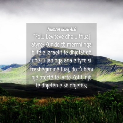 Picture 04 - Numrat 18:26 ALB - 