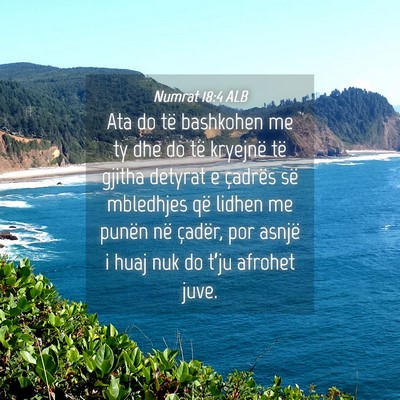 Picture 04 - Numrat 18:4 ALB - Ata do të bashkohen me ty dhe do të kryejnë - Bible Verse Picture