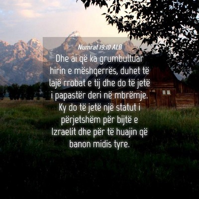 Picture 04 - Numrat 19:10 ALB - Dhe ai që ka grumbulluar hirin e mëshqerrës, - Bible Verse Picture