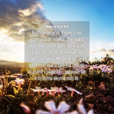 Picture 04 - Numrat 19:13 ALB - Kushdo që prek trupin e një personi të vdekur - Bible Verse Picture
