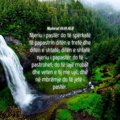 Picture 04 - Numrat 19:19 ALB - Njeriu i pastër do të spërkatë të papastrin - Bible Verse Picture