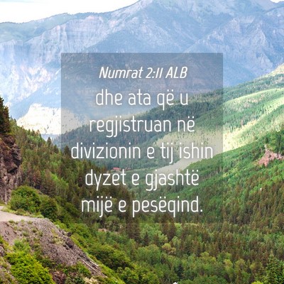 Picture 04 - Numrat 2:11 ALB - dhe ata që u regjistruan në divizionin e tij - Bible Verse Picture