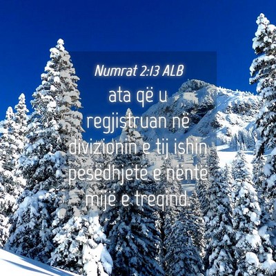 Picture 04 - Numrat 2:13 ALB - ata që u regjistruan në divizionin e tij ishin - Bible Verse Picture