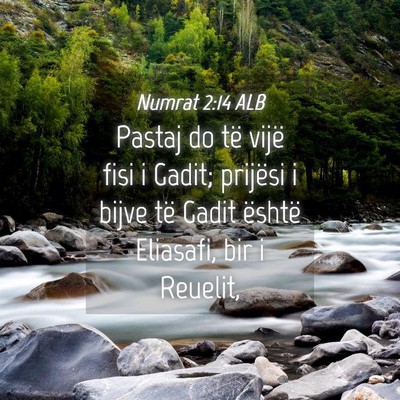 Picture 04 - Numrat 2:14 ALB - Pastaj do të vijë fisi i Gadit; prijësi i - Bible Verse Picture