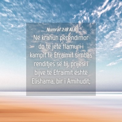 Picture 04 - Numrat 2:18 ALB - Në krahun perëndimor do të jetë flamuri i - Bible Verse Picture