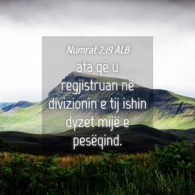Picture 04 - Numrat 2:19 ALB - ata që u regjistruan në divizionin e tij ishin - Bible Verse Picture