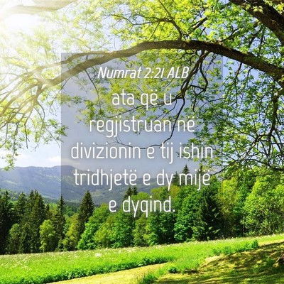Picture 04 - Numrat 2:21 ALB - ata që u regjistruan në divizionin e tij ishin - Bible Verse Picture