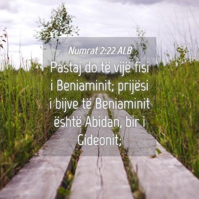 Picture 04 - Numrat 2:22 ALB - Pastaj do të vijë fisi i Beniaminit; prijësi i - Bible Verse Picture