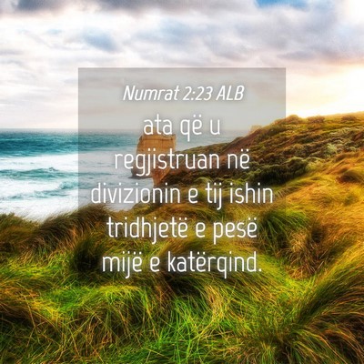 Picture 04 - Numrat 2:23 ALB - ata që u regjistruan në divizionin e tij ishin - Bible Verse Picture