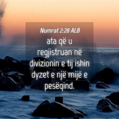 Picture 04 - Numrat 2:28 ALB - ata që u regjistruan në divizionin e tij ishin - Bible Verse Picture