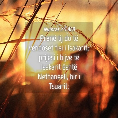Picture 04 - Numrat 2:5 ALB - Pranë tij do të vendoset fisi i Isakarit; - Bible Verse Picture