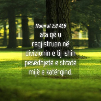 Picture 04 - Numrat 2:8 ALB - ata që u regjistruan në divizionin e tij ishin - Bible Verse Picture