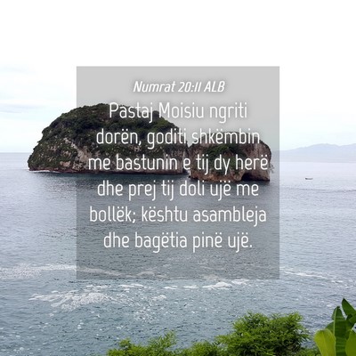 Picture 04 - Numrat 20:11 ALB - Pastaj Moisiu ngriti dorën, goditi shkëmbin me - Bible Verse Picture