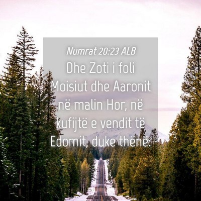 Picture 04 - Numrat 20:23 ALB - Dhe Zoti i foli Moisiut dhe Aaronit në malin - Bible Verse Picture