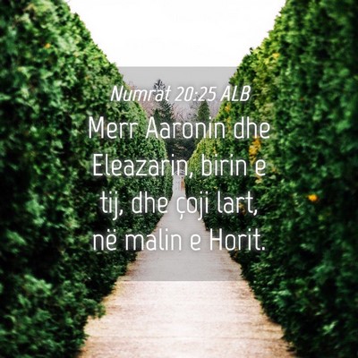 Picture 04 - Numrat 20:25 ALB - Merr Aaronin dhe Eleazarin, birin e tij, dhe - Bible Verse Picture