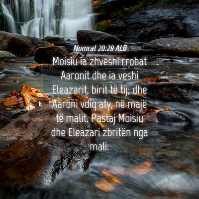 Picture 04 - Numrat 20:28 ALB - Moisiu ia zhveshi rrobat Aaronit dhe ia veshi - Bible Verse Picture