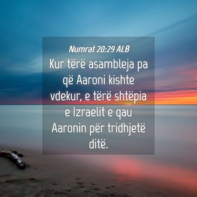 Picture 04 - Numrat 20:29 ALB - Kur tërë asambleja pa që Aaroni kishte vdekur, - Bible Verse Picture