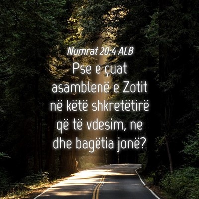 Picture 04 - Numrat 20:4 ALB - Pse e çuat asamblenë e Zotit në këtë - Bible Verse Picture