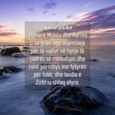 Picture 04 - Numrat 20:6 ALB - Atëherë Moisiu dhe Aaroni u larguan nga - Bible Verse Picture