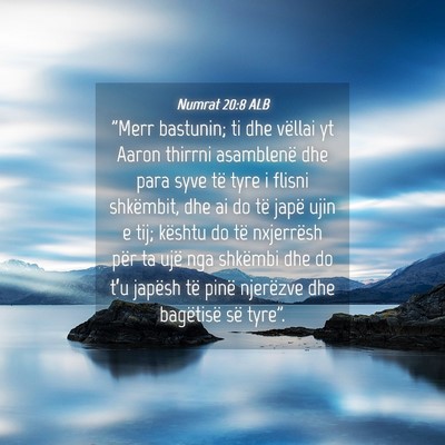 Picture 04 - Numrat 20:8 ALB - 