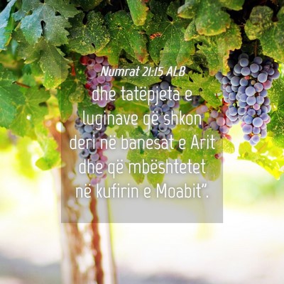 Picture 04 - Numrat 21:15 ALB - dhe tatëpjeta e luginave që shkon deri në - Bible Verse Picture