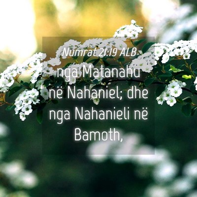 Picture 04 - Numrat 21:19 ALB - nga Matanahu në Nahaniel; dhe nga Nahanieli në - Bible Verse Picture