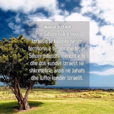 Picture 04 - Numrat 21:23 ALB - Por Sihoni nuk e lejoi Izraelin të kalonte - Bible Verse Picture