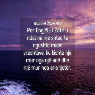 Picture 04 - Numrat 22:24 ALB - Por Engjëlli i Zotit u ndal në një shteg të - Bible Verse Picture
